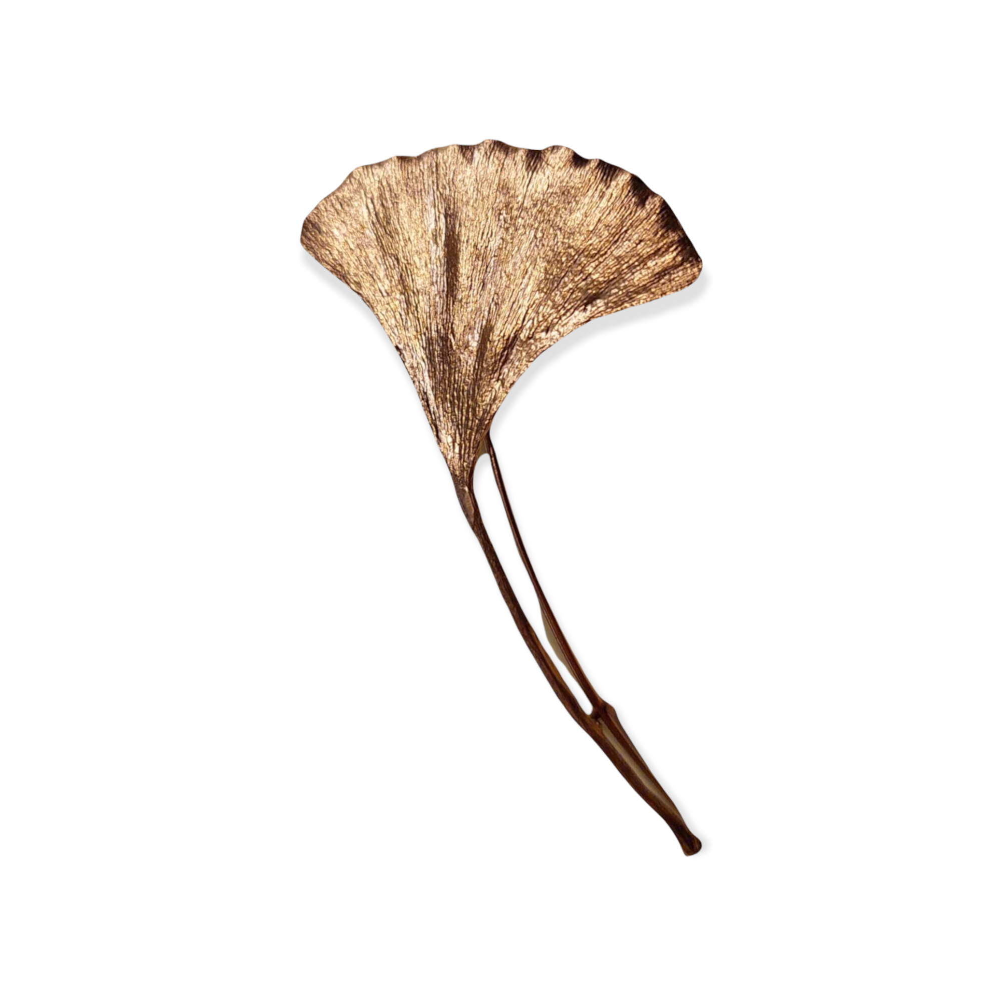 Gingko Leaf Bronze Brooch