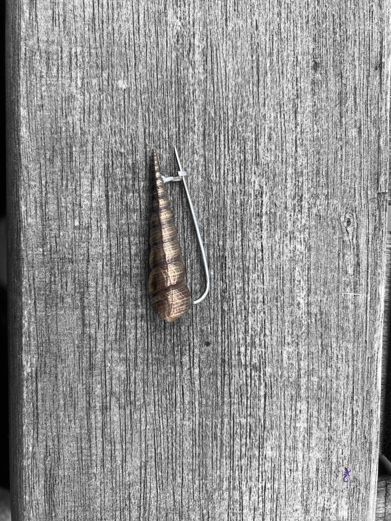 Snail brooch